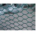 Coated Perforated Wire Mesh