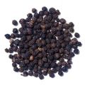 Organic Seeds Bold black pepper