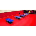 Indoor Table Tennis Sports Court Floorings