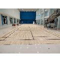 Maple Badminton Sports Floorings