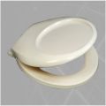 Royal EWC Wall Hung Toilet Seat Cover