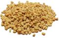 fenugreek seed