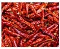 Dry Kashmiri Red Chilli