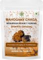 Chaga Mushroom Extract Powder