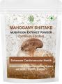 shiitake Mushroom Extract Powder