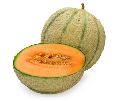 Organic Muskmelon