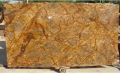 Forest Brown Marble Stone