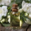 Pale Yellow jasmine essential oil