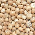 White Areca Nuts