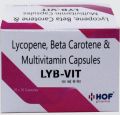 LYB-VIT Capsules