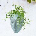 Mask Head Scculent FRP planter silver