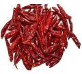 273 Dried Red Chilli