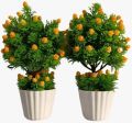 Artificial Plant Bonsai with Beautiful Yellow flowers & Leaves (Set Of 2)