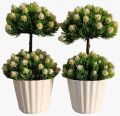 Artificial Plant Bonsai with Lovely White Flowers & Bush (Set Of 2)