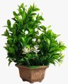 Artificial Plant Bonsai With White Flowers & Leaves in Wooden Style Pot