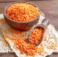 Red Lentils