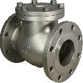 SG Iron Silver check valve casting