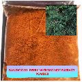 Bandicoot Berry Nutrosonide Extract Powder