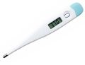 Oral Rectal Underarm Thermometer