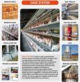 100-1000kg Per Unit poultry cage system