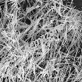 Nanochemazone Nanochemazone lead titanate nano wires