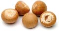 Brown areca nuts