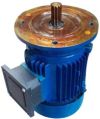 flange gear shaft mounted motor