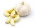 Whole Garlic