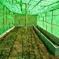 Green Agriculture Net