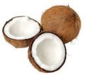 Small Raw Coconut