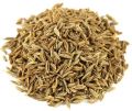 cumin seeds