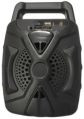 PLS202 Bluetooth FM Speaker