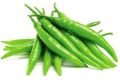 fresh green chilli