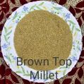 Brown Top Millets