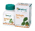 himalaya herbals guduchi immunity wellness capsules
