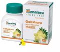 men stamina immunity herbal himalaya gokshura tablets