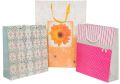 Design corporate gifting paper bags