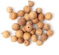 Gall Nuts