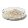 Esvee Yeast Extract Powder