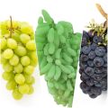 Export Quality Fresh Grapes