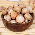 Brown Solid betel nut