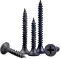 Iron Drywell Screw