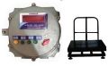 Flame Proof Weighing Scale