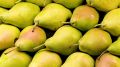 Organic Yellow Yes Fresh Pear