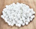 Round White camphor tablets