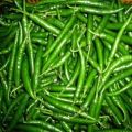 A Grade Fresh Green Chilli