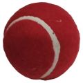 Tennis Cricket Ball