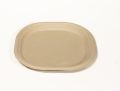 10 Inch Bagasse Plate