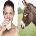 White Liquid natural donkey milk