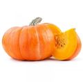 Oval fresh chennai pumpkin